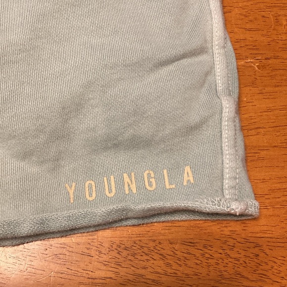 YoungLA Mens Size L Light Green Terry Knit Athletic Shorts 100% Cotton Workout - Picture 3 of 12